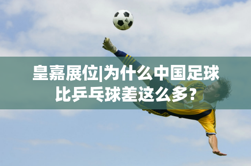 诠释了